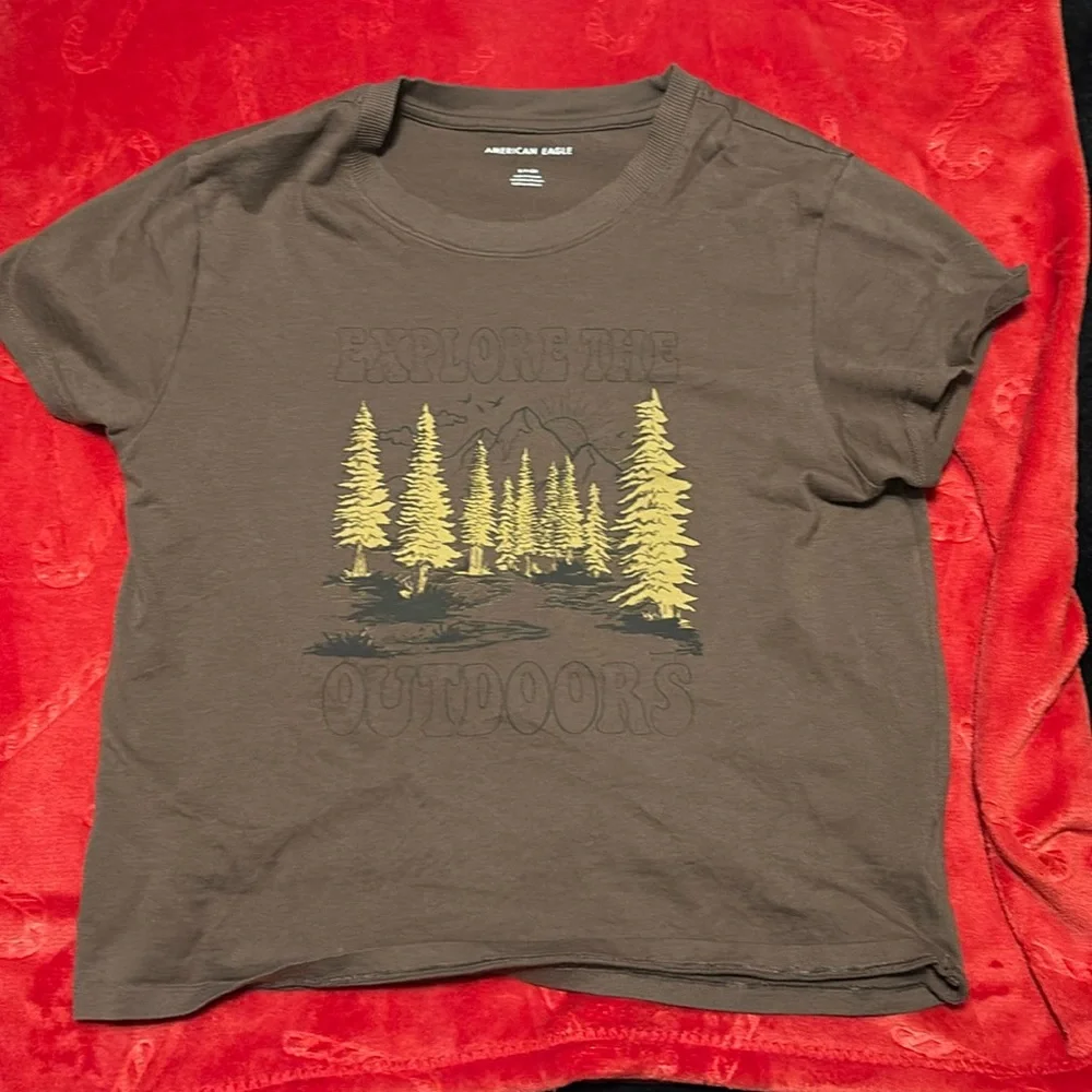Brown American Eagle cropped tee - Picture 1 of 1